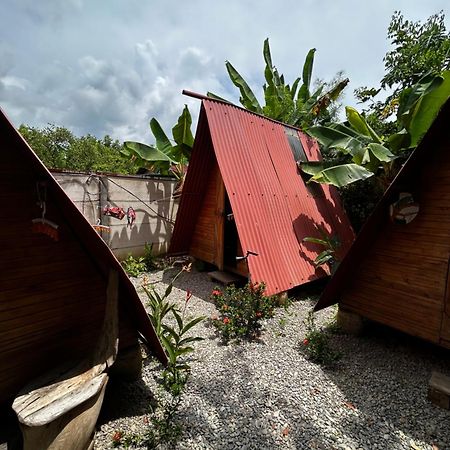 Ballena Oasis Homes & Glamping 乌维塔 外观 照片