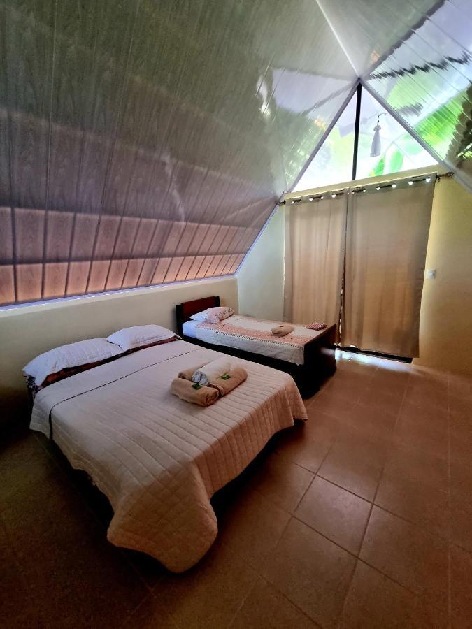 Ballena Oasis Homes & Glamping 乌维塔 外观 照片