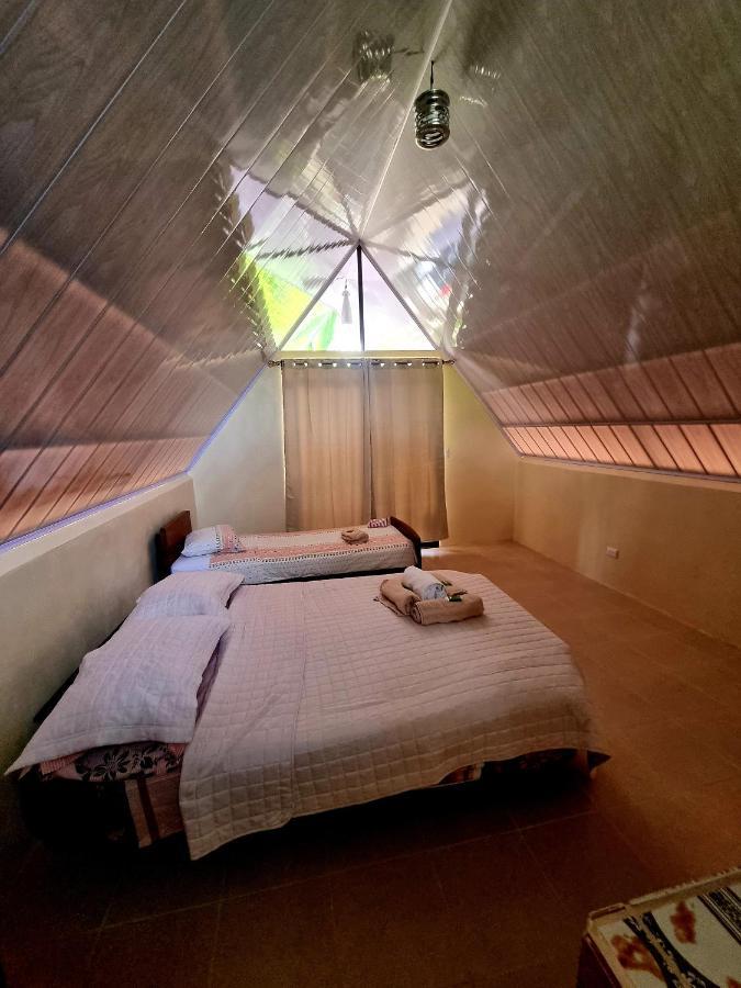 Ballena Oasis Homes & Glamping 乌维塔 外观 照片