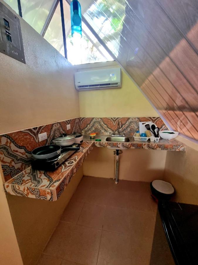 Ballena Oasis Homes & Glamping 乌维塔 外观 照片