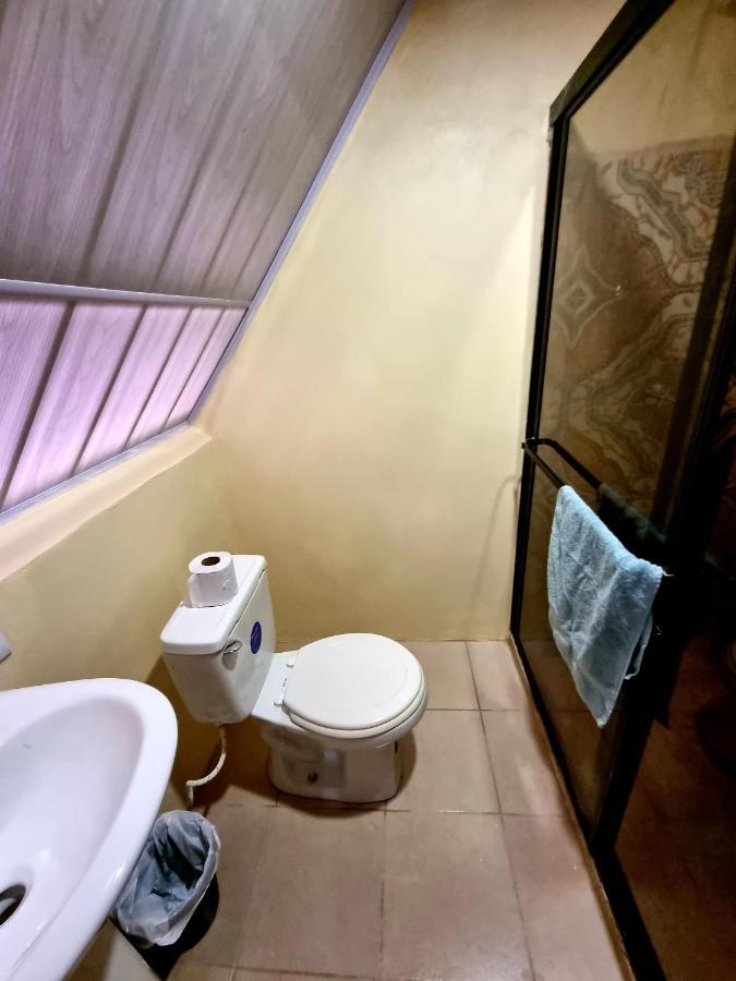 Ballena Oasis Homes & Glamping 乌维塔 外观 照片
