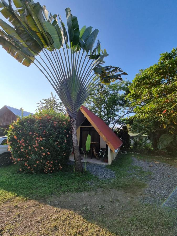 Ballena Oasis Homes & Glamping 乌维塔 外观 照片