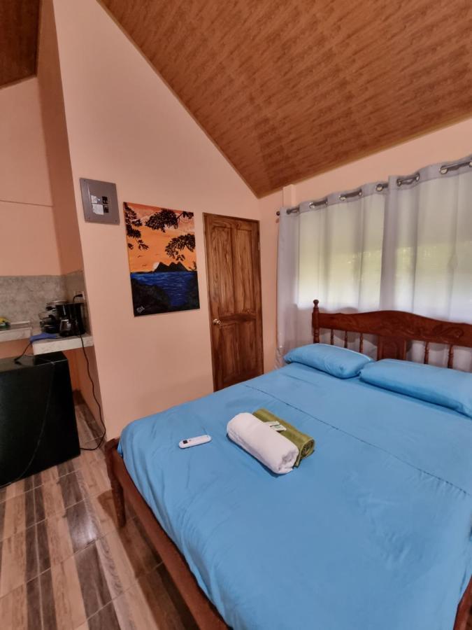 Ballena Oasis Homes & Glamping 乌维塔 外观 照片