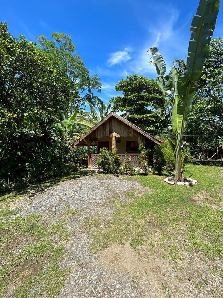 Ballena Oasis Homes & Glamping 乌维塔 外观 照片