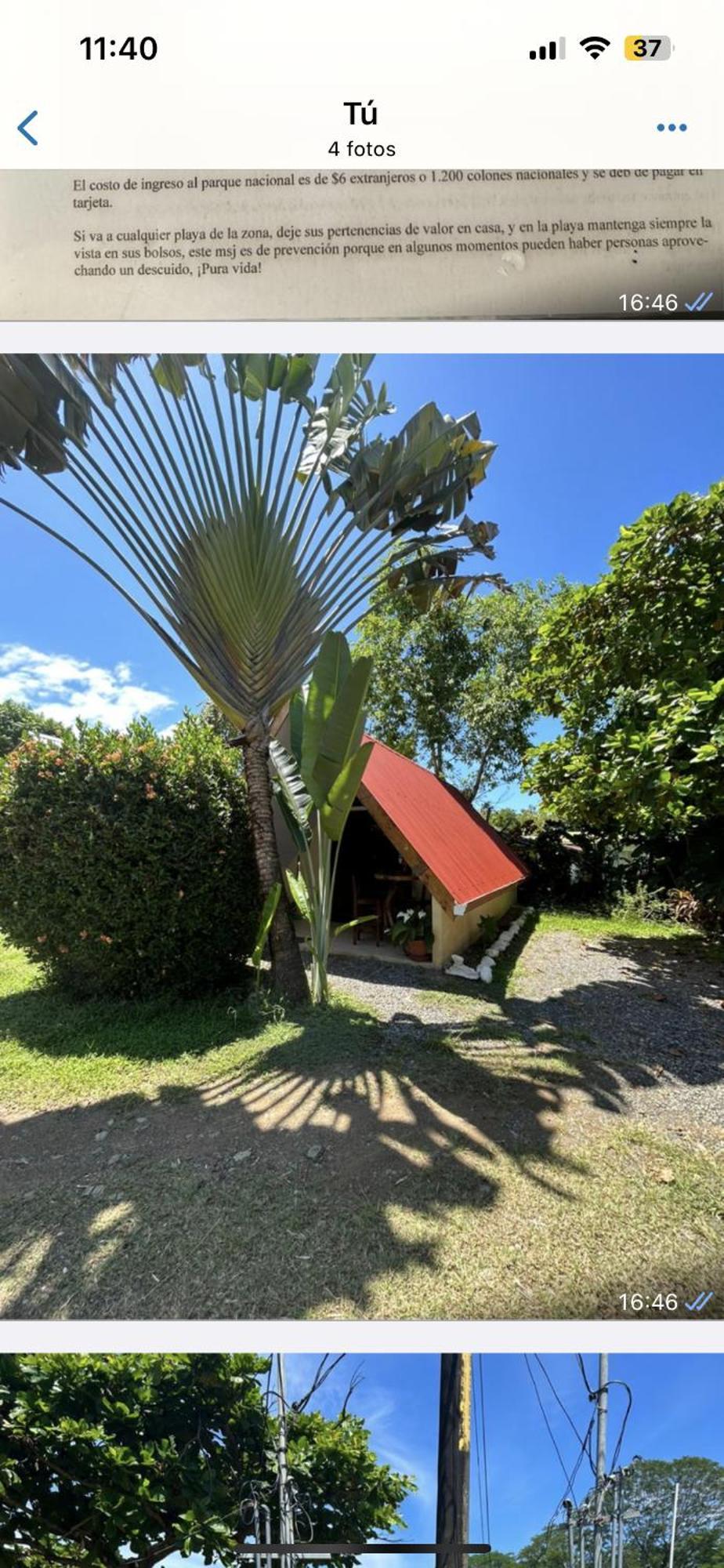 Ballena Oasis Homes & Glamping 乌维塔 外观 照片