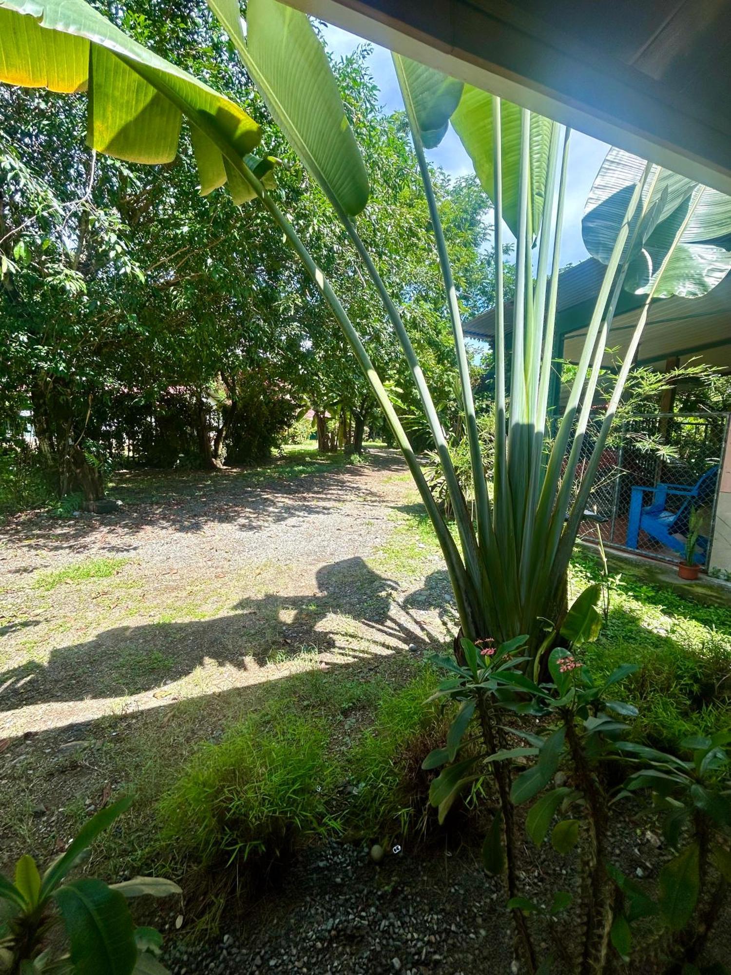 Ballena Oasis Homes & Glamping 乌维塔 外观 照片