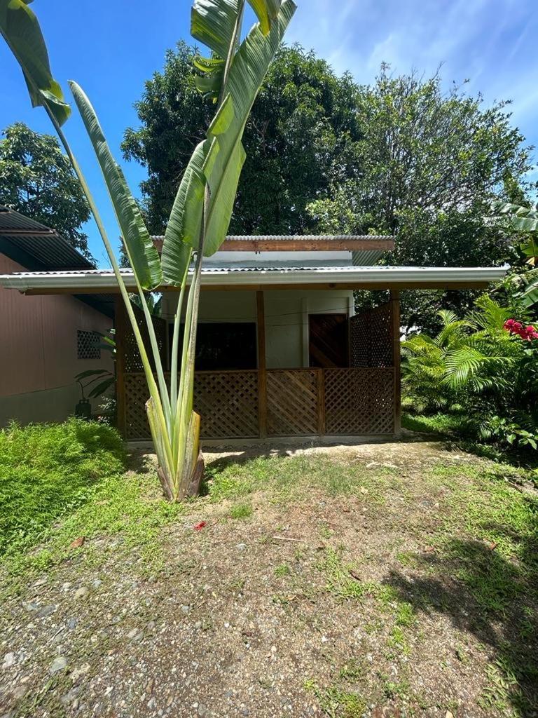Ballena Oasis Homes & Glamping 乌维塔 外观 照片