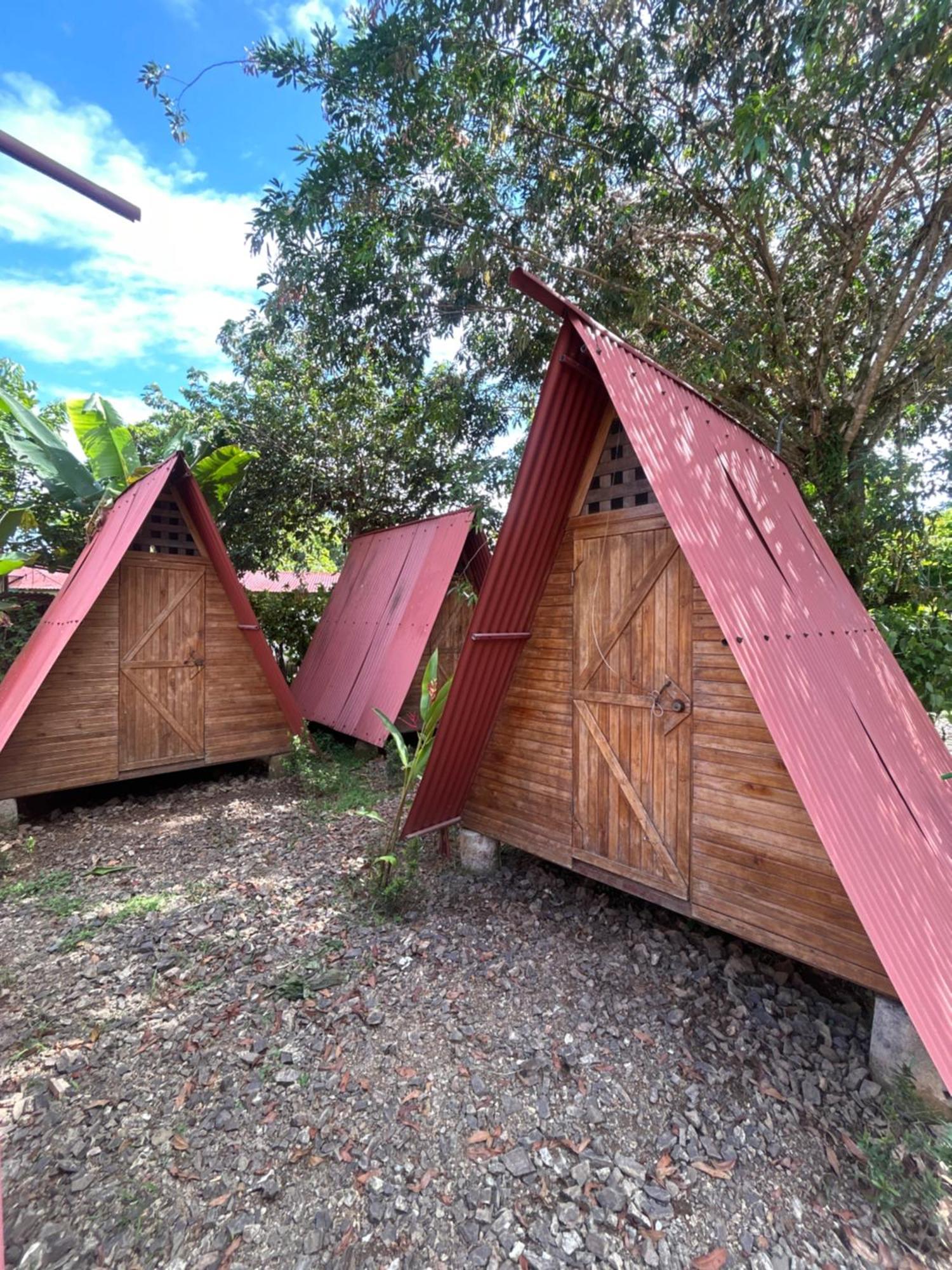Ballena Oasis Homes & Glamping 乌维塔 外观 照片